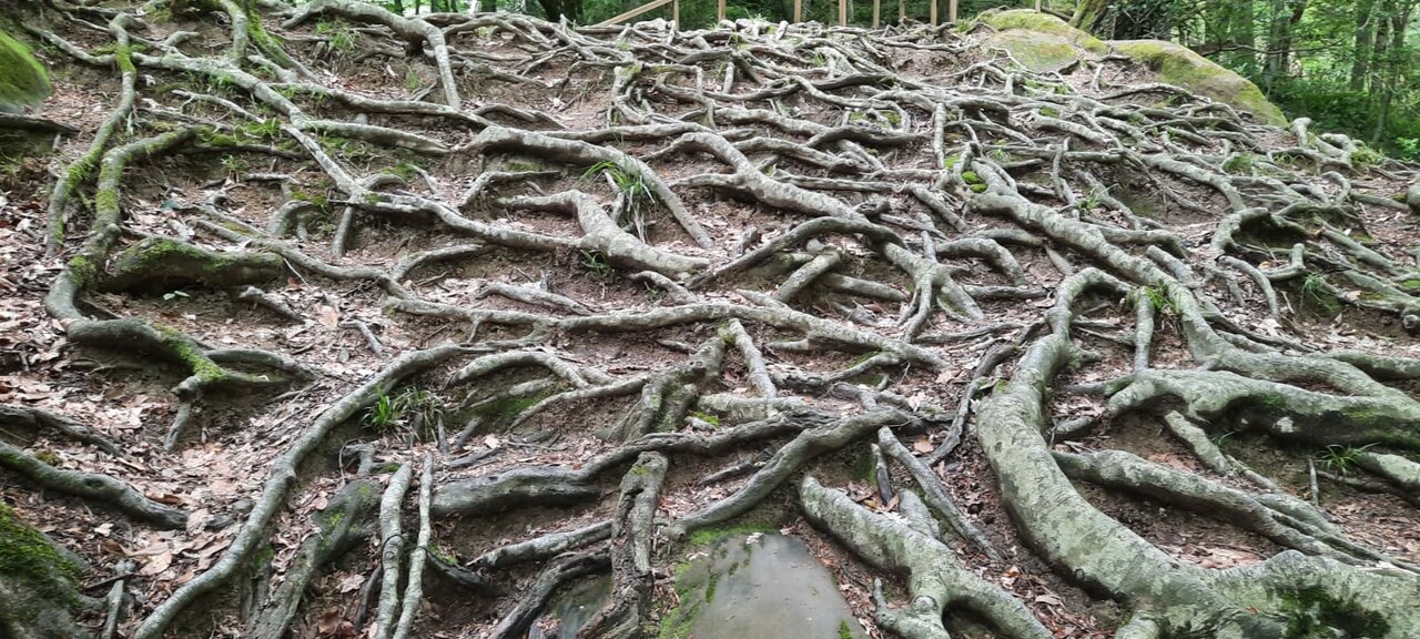 Гостиница Глобус Лоо-16