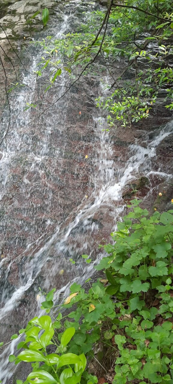 Гостиница Глобус Лоо-18