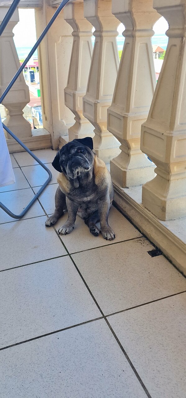 Гостиница Глобус Лоо-44