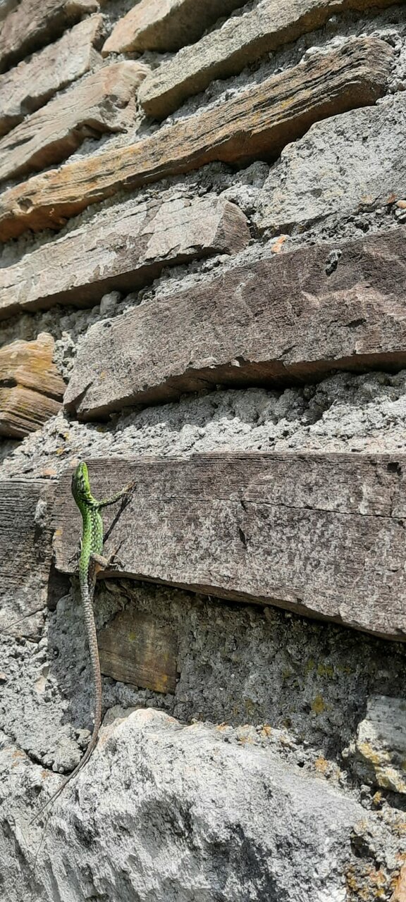 Гостиница Глобус Лоо-17