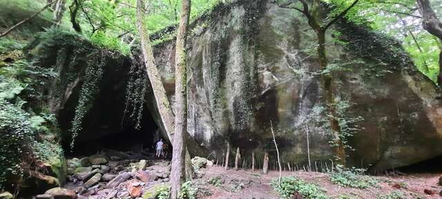 Гостиница Глобус Лоо-31