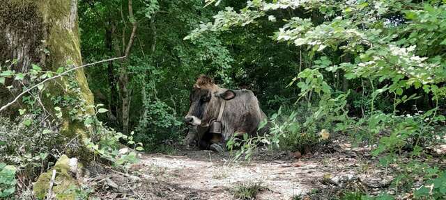 Гостиница Глобус Лоо-14